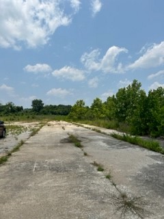 Overgrowth at the site of then now demolished brick factory 